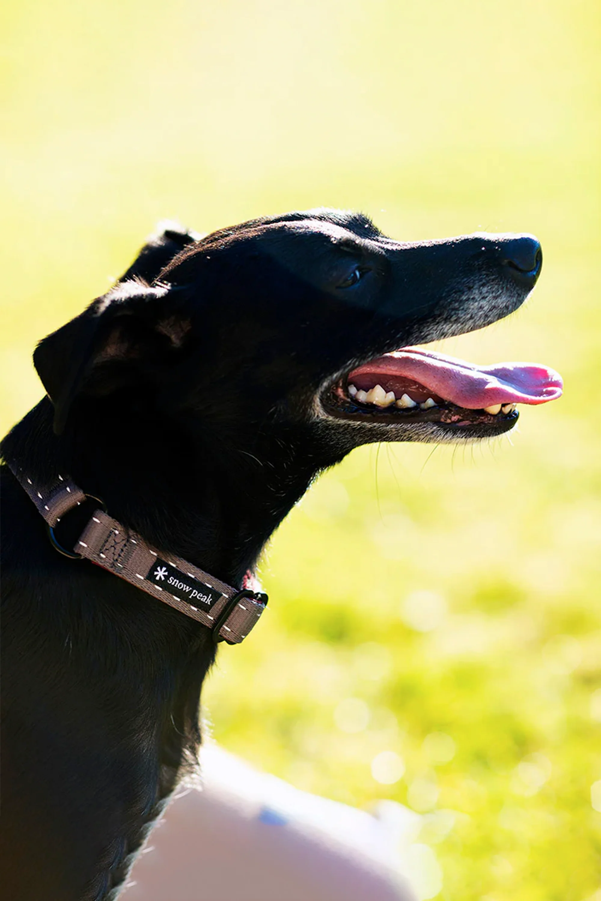 SP Slip Collar S - Image 3